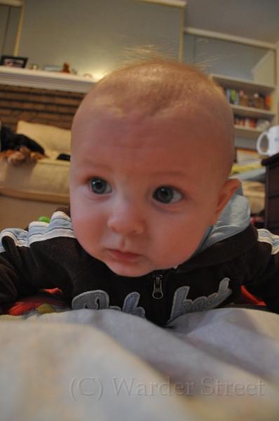 William's Nineteenth Week 10.jpg